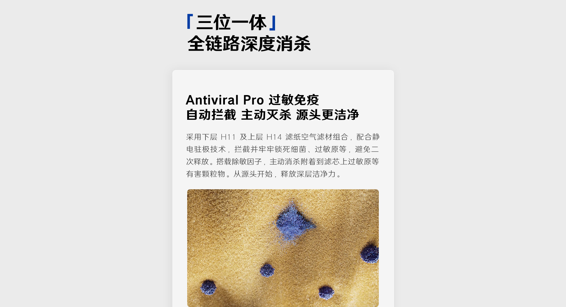 1708931626691709.jpg 1_09.jpg