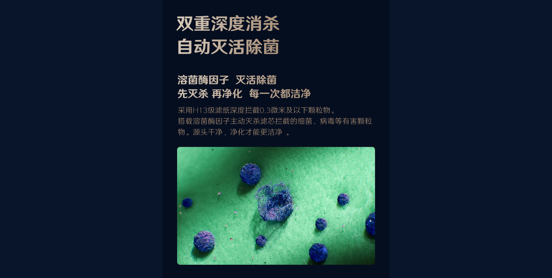 1708942054360918.jpg Y106C_17.jpg