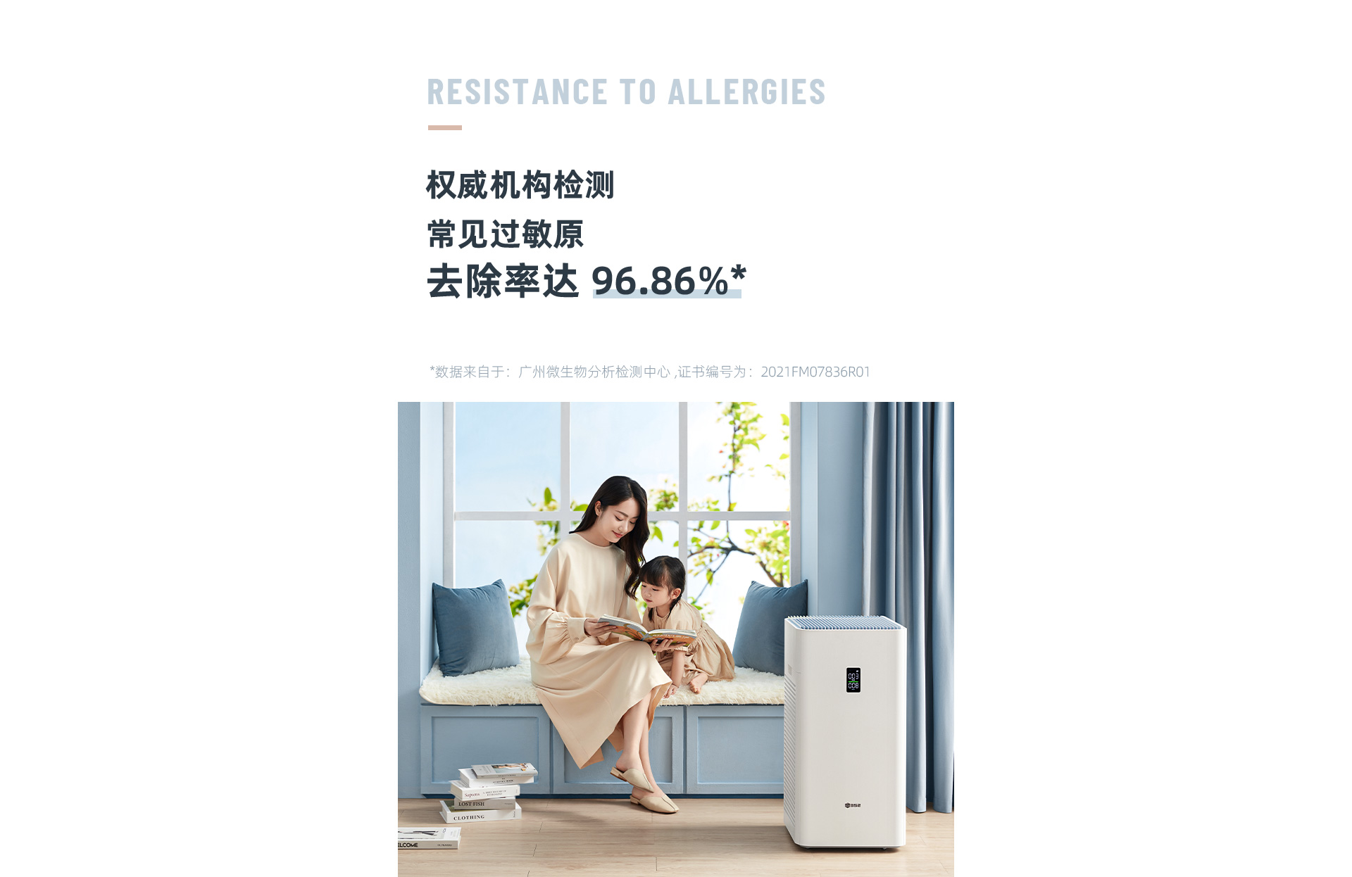 1709017710153886.jpg Y106-1920_10.jpg