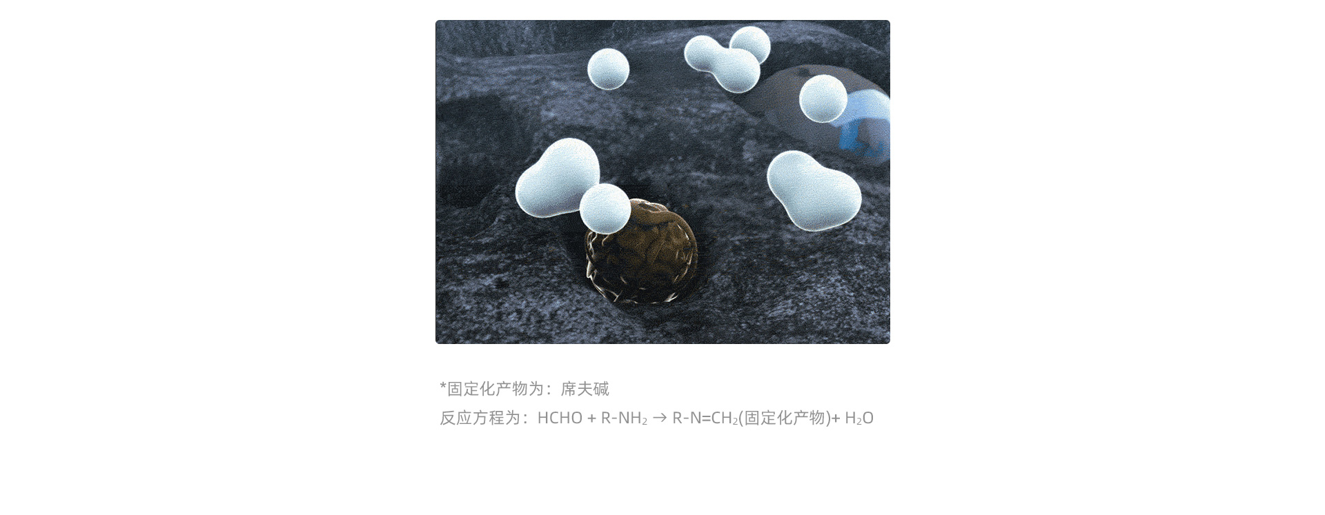 1709018705959298.jpg 1_07.jpg