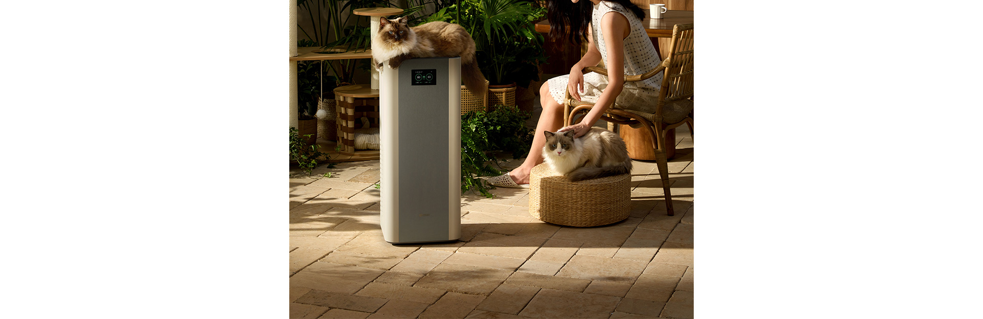 1709021530812753.jpg 1_03.jpg