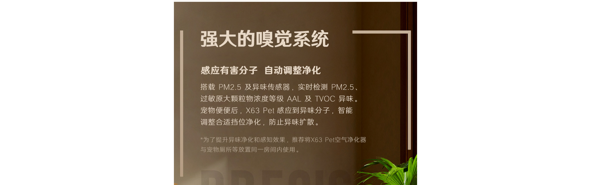 1709021538351937.jpg 1_06.jpg