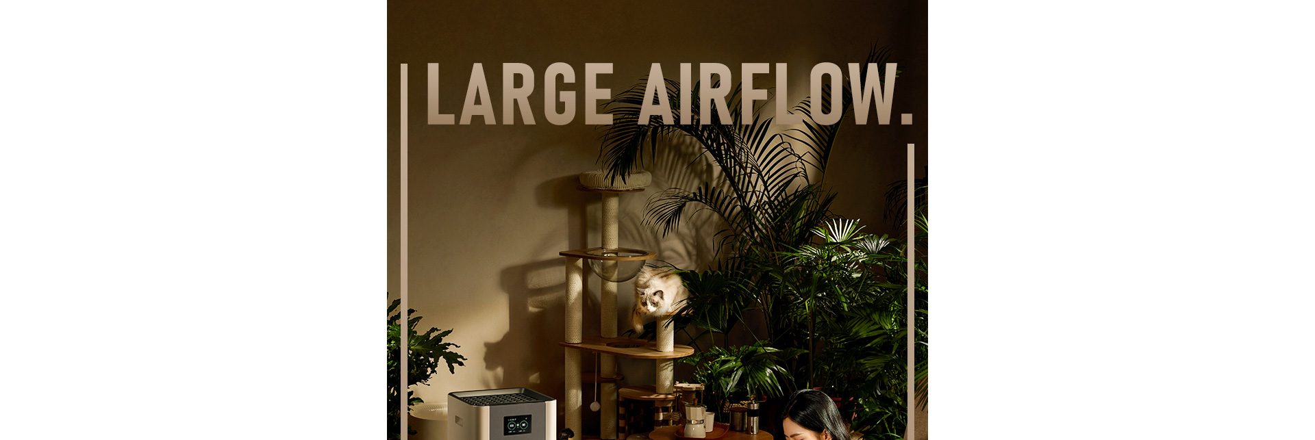 1709021623545287.jpg 1_13.jpg