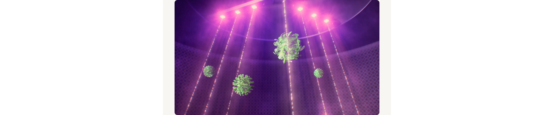 1709021636679543.jpg 1_17.jpg