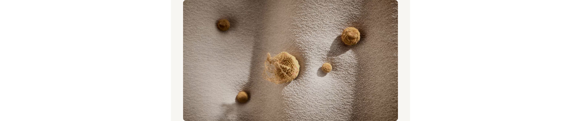 1709021641218040.jpg 1_19.jpg