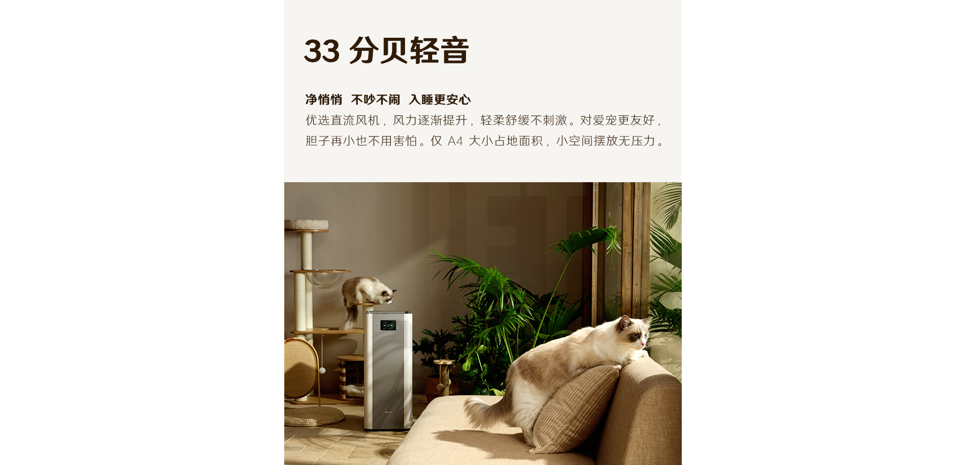 1709021673768459.jpg 1_29.jpg