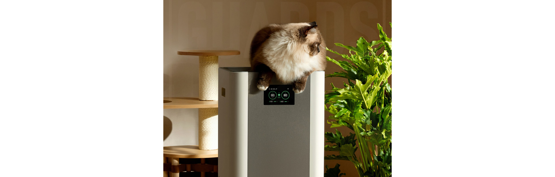 1709021678713197.jpg 1_31.jpg